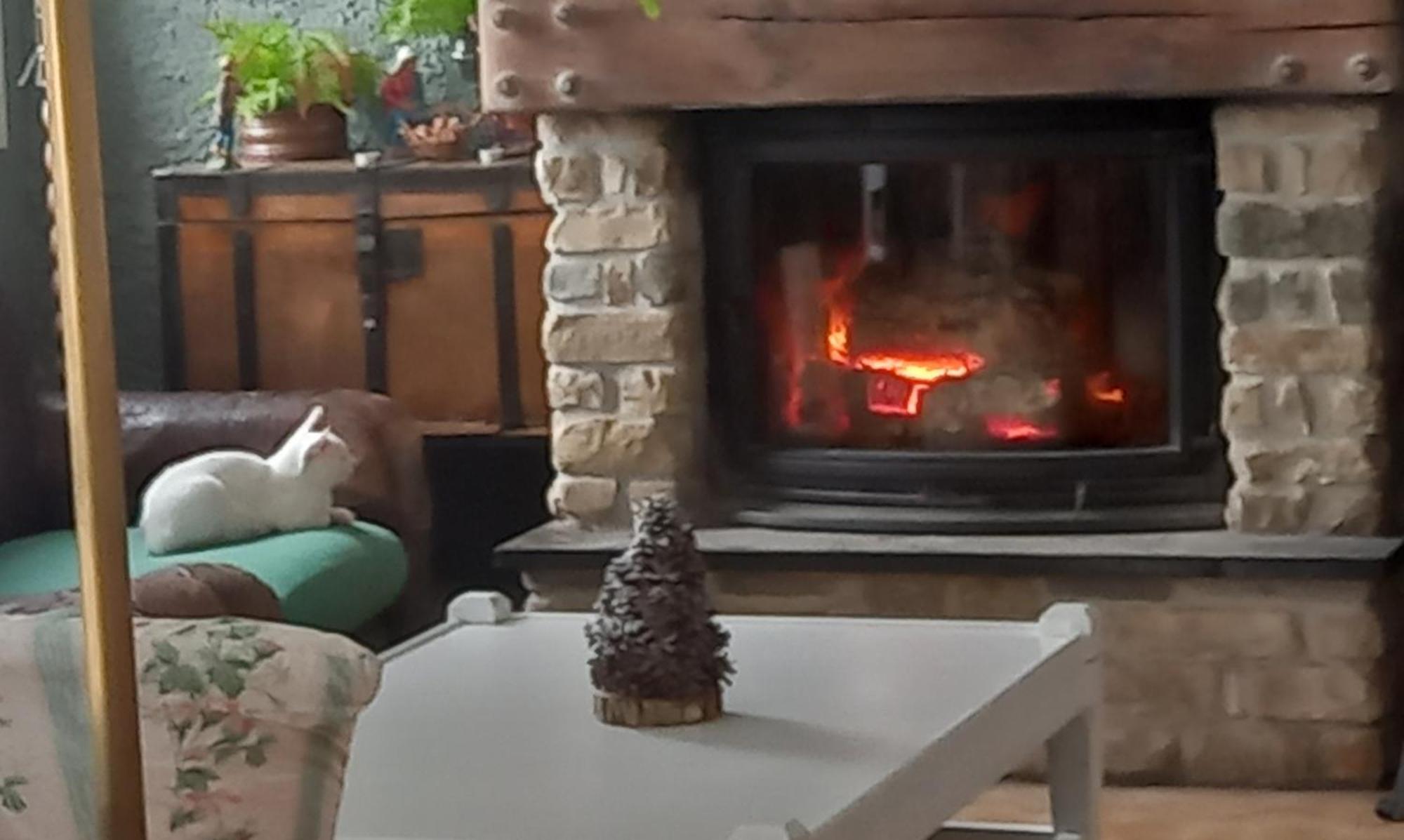 B&B Le Camelie Del Bosco Baiardo Экстерьер фото
