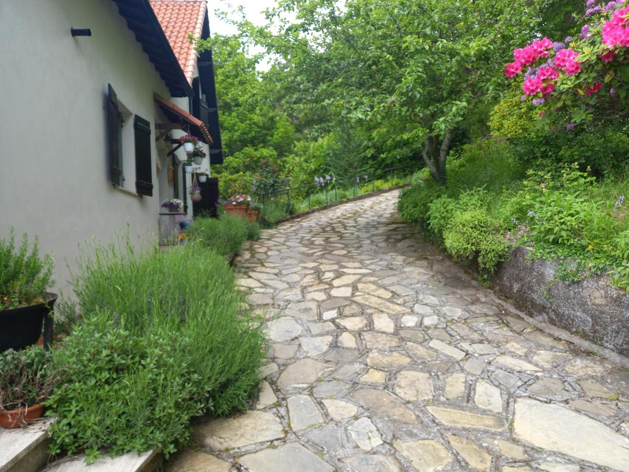 B&B Le Camelie Del Bosco Baiardo Экстерьер фото