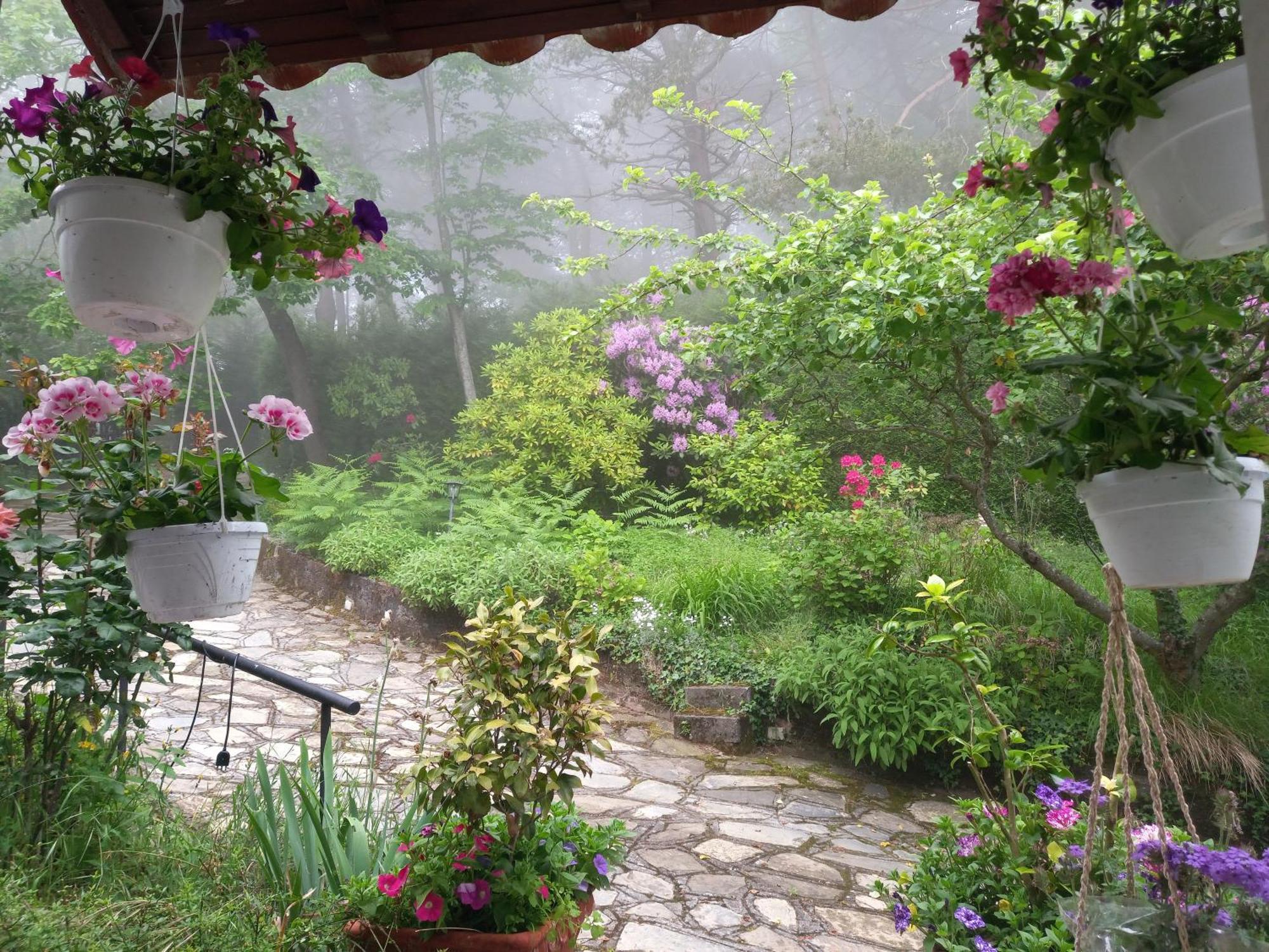 B&B Le Camelie Del Bosco Baiardo Экстерьер фото