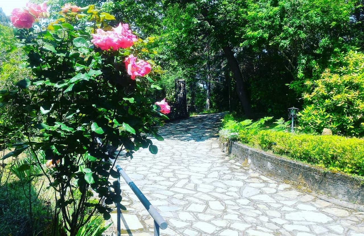 B&B Le Camelie Del Bosco Baiardo Экстерьер фото