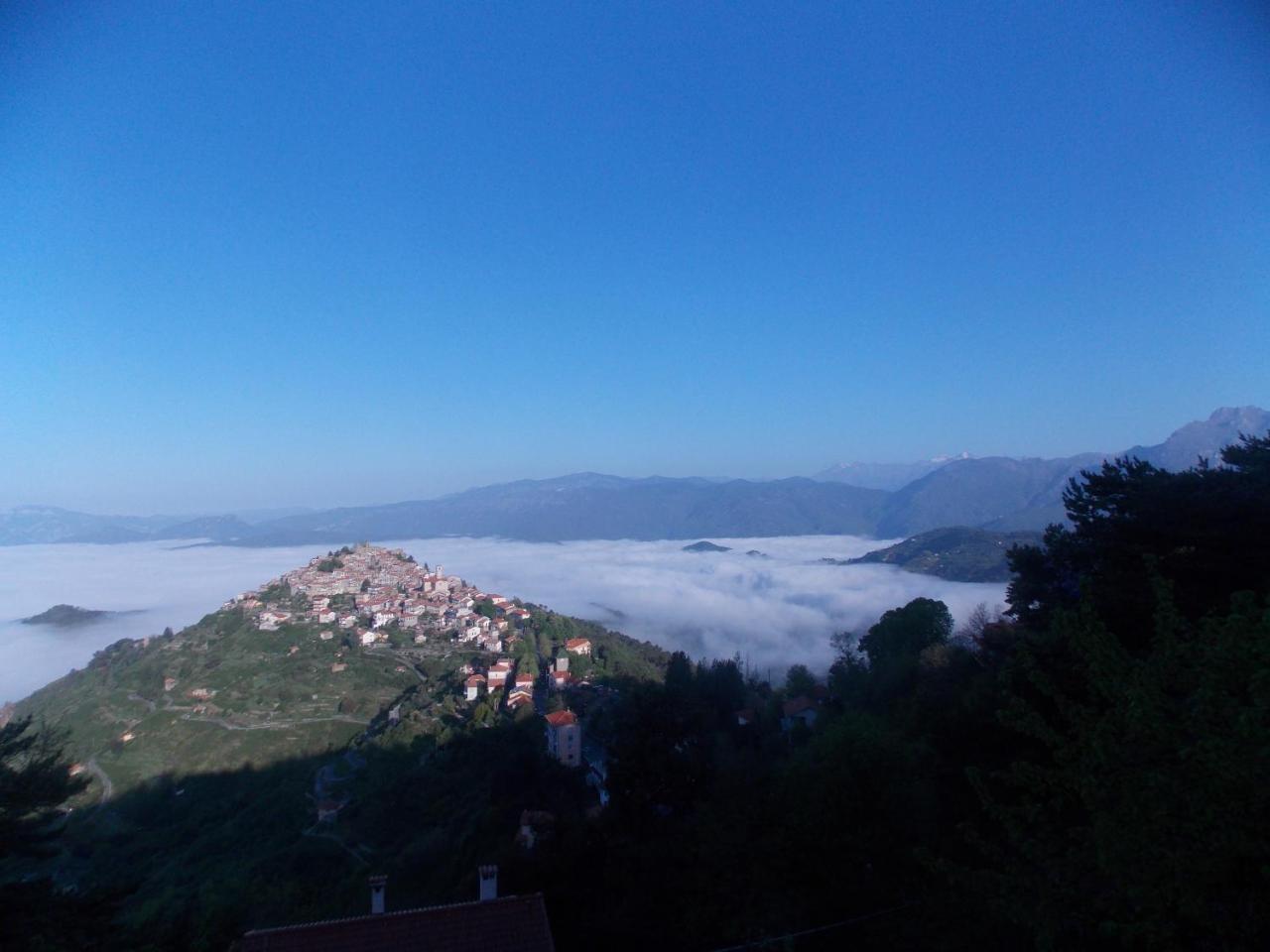 B&B Le Camelie Del Bosco Baiardo Экстерьер фото